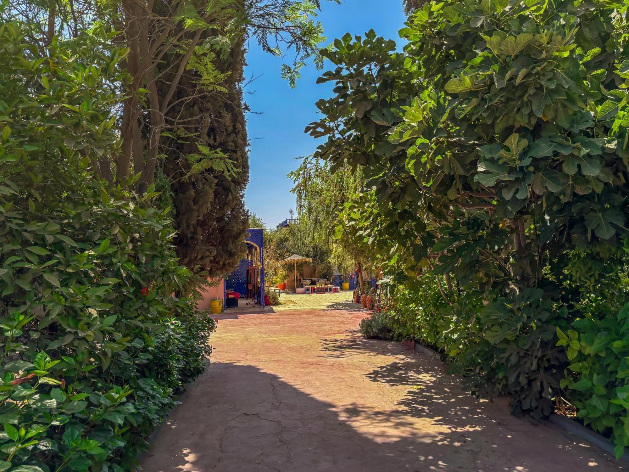 לינה וארוחת בוקר Sidi Abdallah Ghiat Le Bleu House מראה חיצוני תמונה